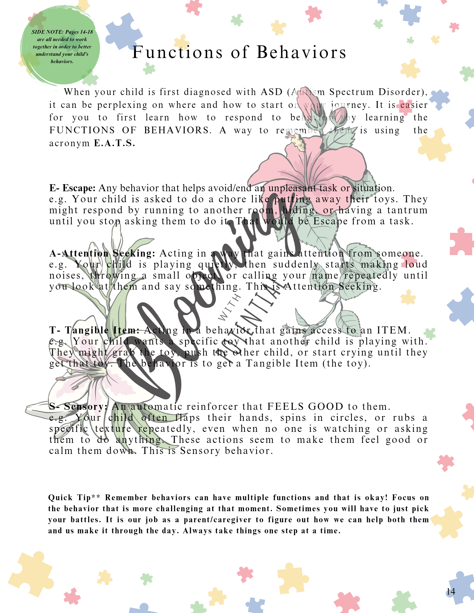 Informational Autism Planner- 6 month My Store